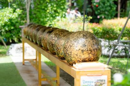 ภาพงานถวายเทียนพรรษา วัดป่าเลิศธรรมนิมิต ลำดับที่ 0-26